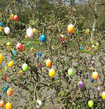 Waldschloesschen בית הארחה Plein