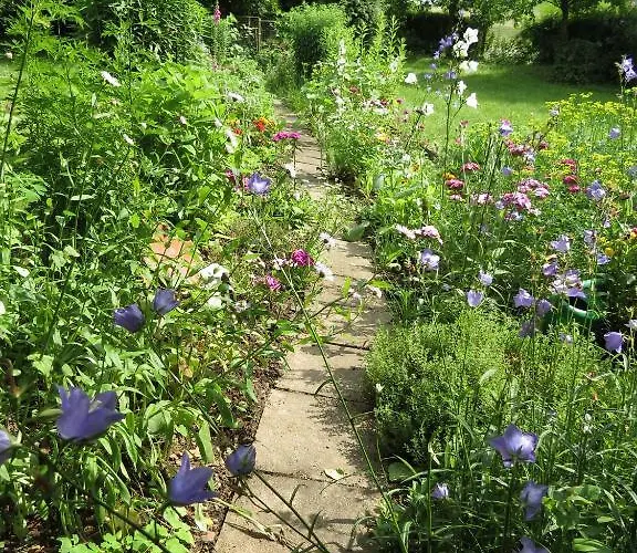 בית הארחה Waldschloesschen